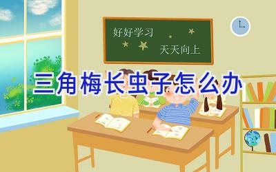 三角梅长虫子怎么办插图