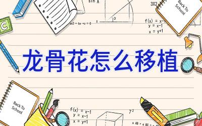 龙骨花怎么移植插图