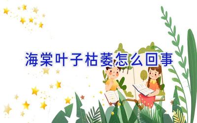 海棠叶子枯萎怎么回事插图 海棠叶子枯萎怎么回事插图