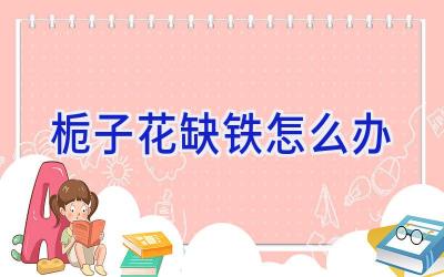 栀子花缺铁怎么办插图