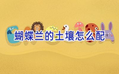 蝴蝶兰的土壤怎么配插图 蝴蝶兰的土壤怎么配插图