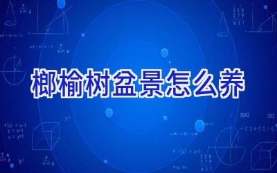 榔榆树盆景怎么养插图