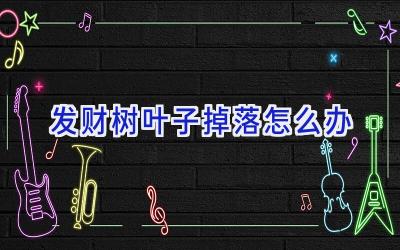 发财树叶子掉落怎么办插图