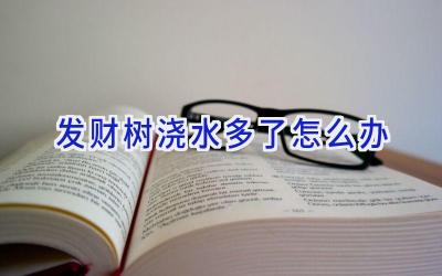 发财树浇水多了怎么办插图 发财树浇水多了怎么办插图