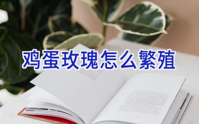 鸡蛋玫瑰怎么繁殖插图 鸡蛋玫瑰怎么繁殖插图