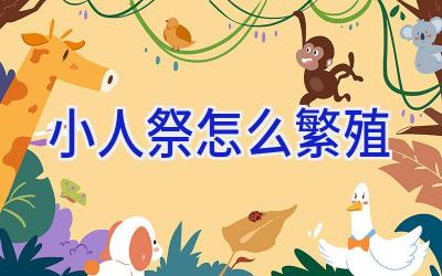 小人祭怎么繁殖插图 小人祭怎么繁殖插图
