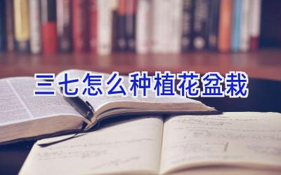 三七怎么种植花盆栽插图