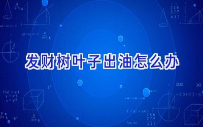 发财树叶子出油怎么办插图