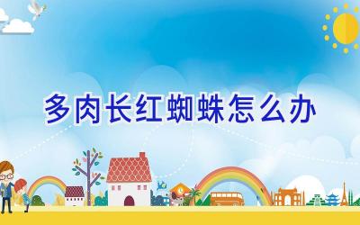 多肉长红蜘蛛怎么办插图 多肉长红蜘蛛怎么办插图