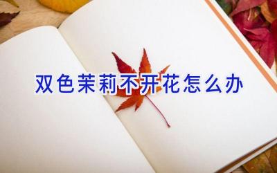 双色茉莉不开花怎么办插图