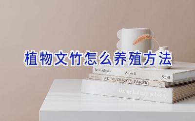 植物文竹怎么养殖方法插图 植物文竹怎么养殖方法插图