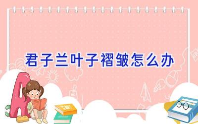 君子兰叶子褶皱怎么办插图 君子兰叶子褶皱怎么办插图