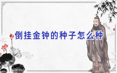 倒挂金钟的种子怎么种插图 倒挂金钟的种子怎么种插图