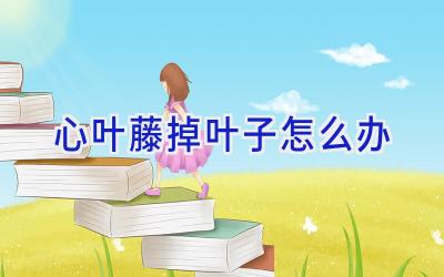 心叶藤掉叶子怎么办插图 心叶藤掉叶子怎么办插图