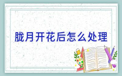 胧月开花后怎么处理插图