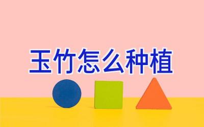 玉竹怎么种植插图