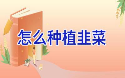 怎么种植韭菜插图