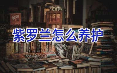 紫罗兰怎么养护插图