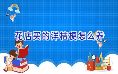 花店买的洋桔梗怎么养插图 花店买的洋桔梗怎么养插图