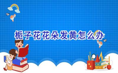栀子花花朵发黄怎么办插图 栀子花花朵发黄怎么办插图