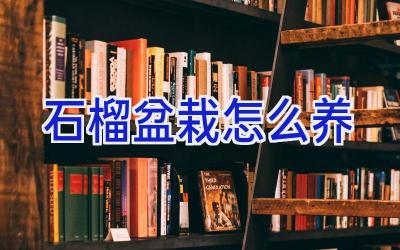 石榴盆栽怎么养插图