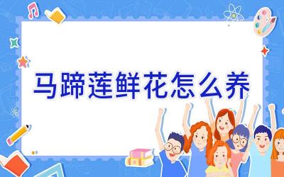 马蹄莲鲜花怎么养插图 马蹄莲鲜花怎么养插图