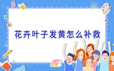 花卉叶子发黄怎么补救插图