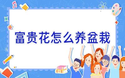 富贵花怎么养盆栽插图 富贵花怎么养盆栽插图