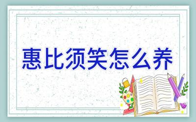 惠比须笑怎么养插图