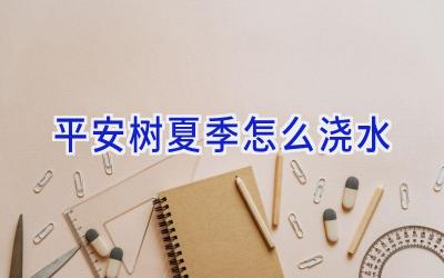 平安树夏季怎么浇水插图