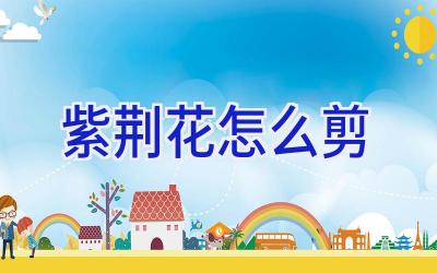 紫荆花怎么剪插图