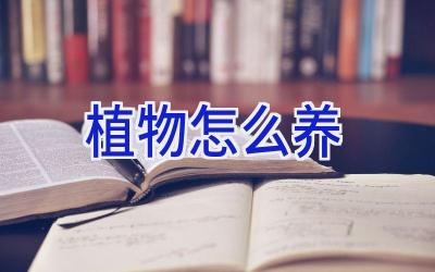 植物怎么养插图 植物怎么养插图