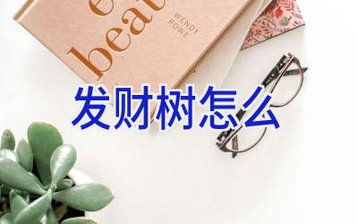 发财树怎么插图 发财树怎么插图