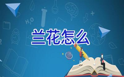 兰花怎么插图 兰花怎么插图