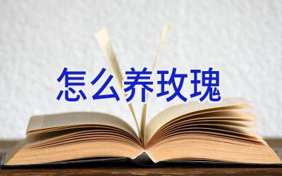 怎么养玫瑰插图 怎么养玫瑰插图