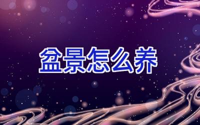 盆景怎么养插图