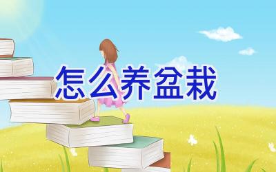 怎么养盆栽插图 怎么养盆栽插图