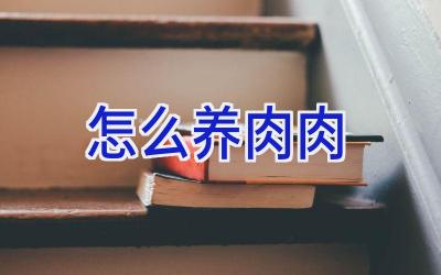 怎么养肉肉插图 怎么养肉肉插图