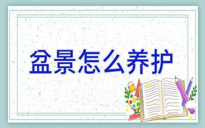 盆景怎么养护插图