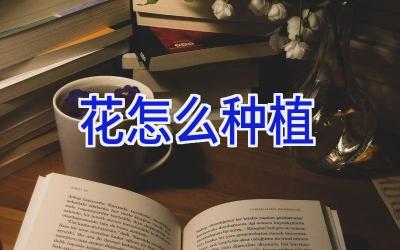 花怎么种植插图