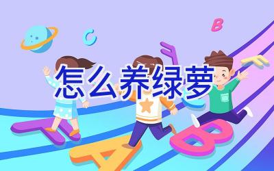 怎么养绿萝插图 怎么养绿萝插图