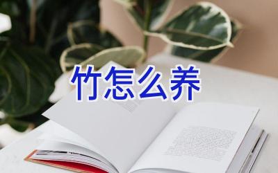 竹怎么养插图 竹怎么养插图