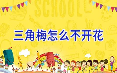 三角梅怎么不开花插图 三角梅怎么不开花插图