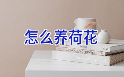 怎么养荷花插图