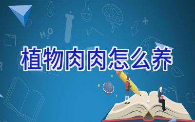 植物肉肉怎么养插图