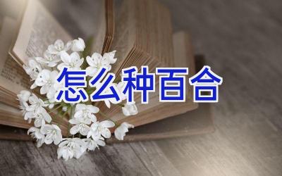 怎么种百合插图 怎么种百合插图