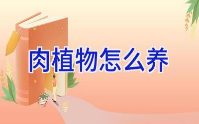 肉植物怎么养插图