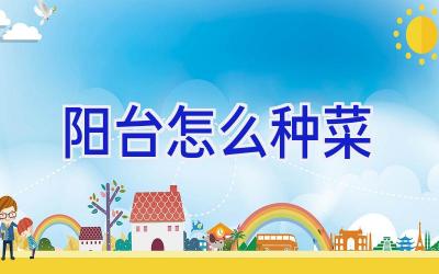 阳台怎么种菜插图 阳台怎么种菜插图