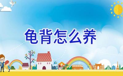 龟背怎么养插图 龟背怎么养插图