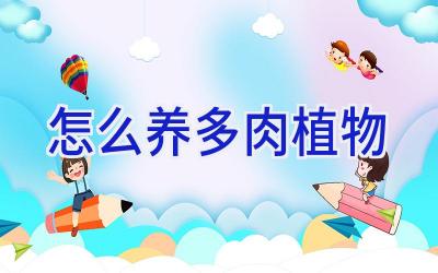 怎么养多肉植物插图